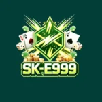 SK-E999 Game