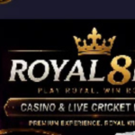 Royal8 Bet Game