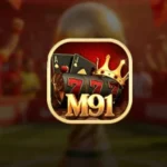 M91 Game