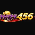 WGS456 Game