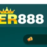 ER888 Game