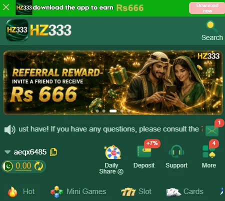 HZ333 App