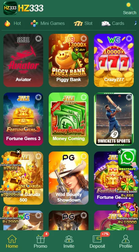 HZ333 Game