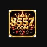 8557 Game
